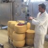 cheese blocks