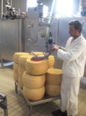 cheese blocks