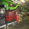 Cases with Bottles